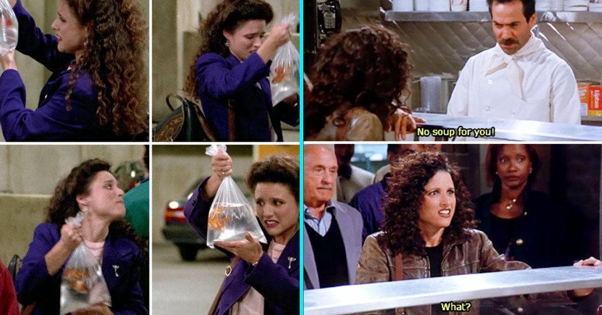 seinfeld memes elaine