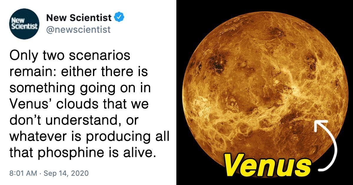 Scientists Found Possible Signs Of Life Around Venus, But It's Not Exactly What We Expected