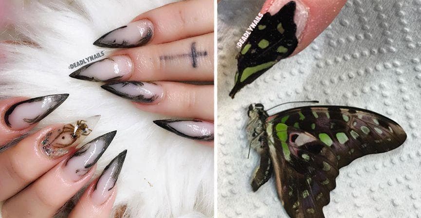 3. Insect-Inspired Nail Designs - wide 5