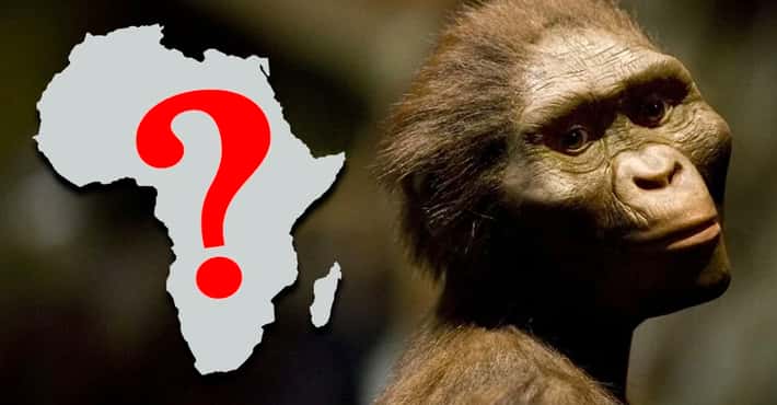 Did We Really Originate in Africa?