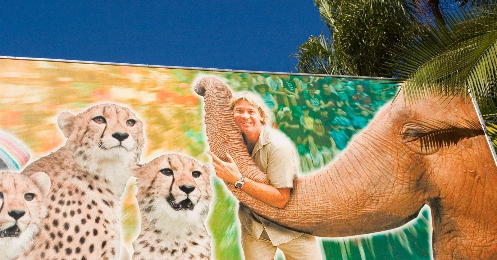 Strange Facts About Zoos