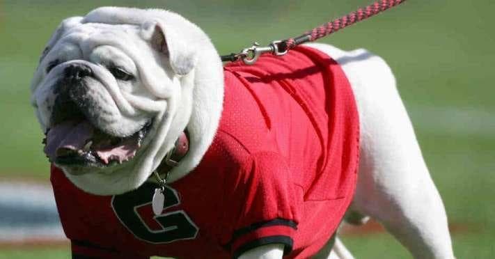 Best University of Georgia Football Players of All Time | Top UGA ...