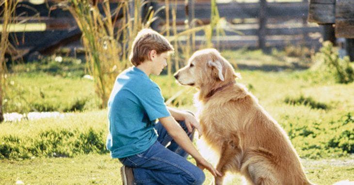 WH Readers Share The Movie Moments That Always Make Them Cry