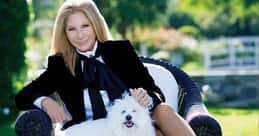 The Best Barbra Streisand Albums of All Time