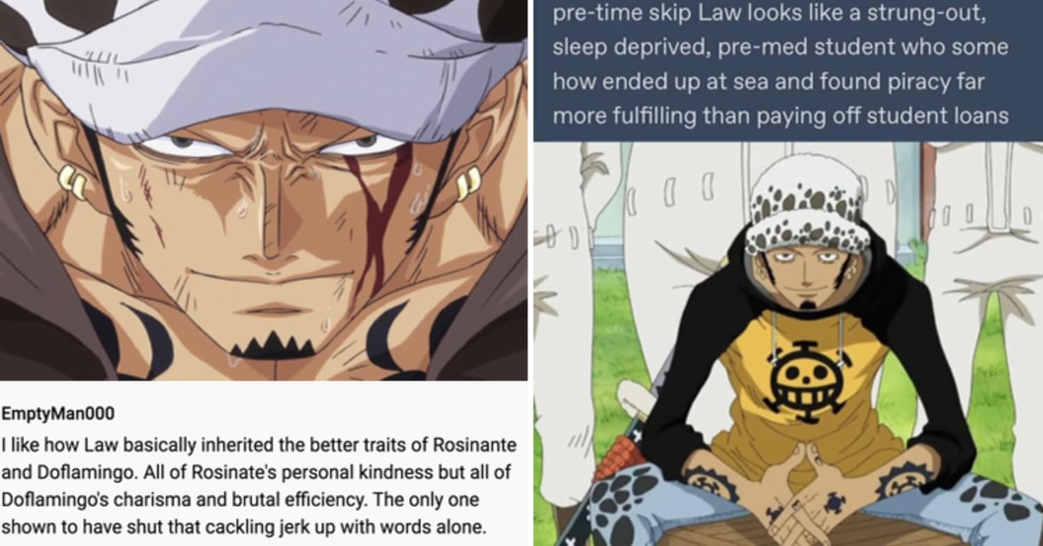 Top 10 One Piece Fan Theories That Could Be True
