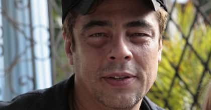 Benicio Del Toro's Dating and Relationship History