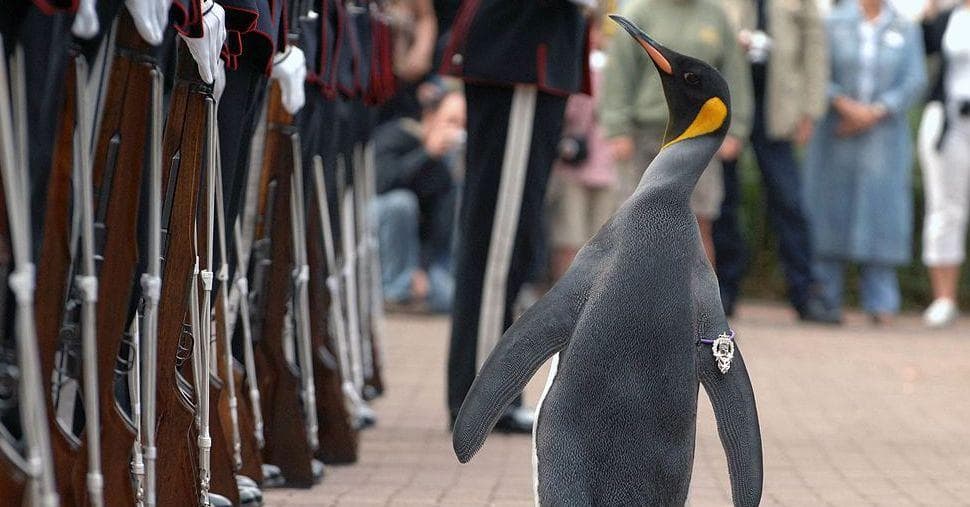 Wild Facts About Other Countries That Sound Made Up But Aren't