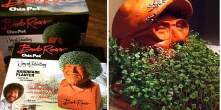 Chia Pets Still Exist And You Won't Believe How Many Crazy New Ones There Are