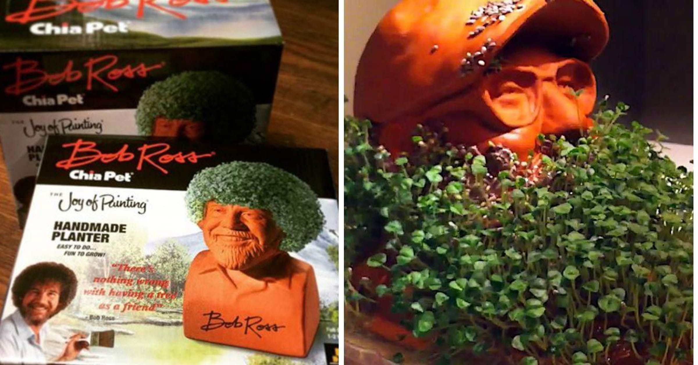 I bought this Bob Ross chia pet . . . These are not happy trees