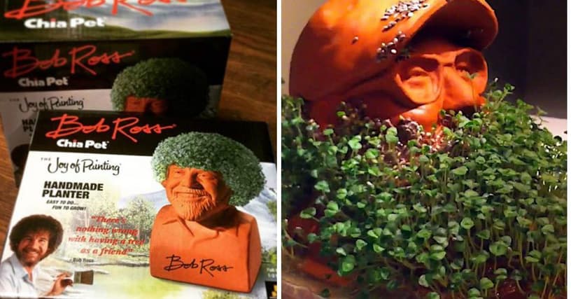 chia pet weight