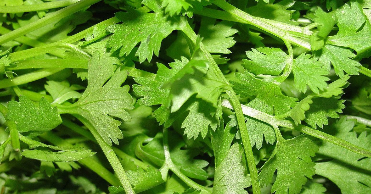 Ranker Readers Talk About The Ingredients That Ruin A Dish For Them