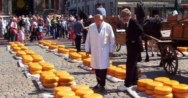 Dutch Cheese: List of Cheeses of the Netherlands