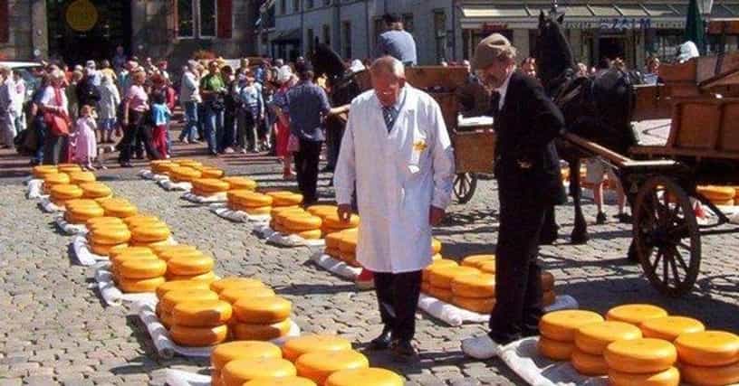 Dutch Cheese: List of Cheeses of the Netherlands