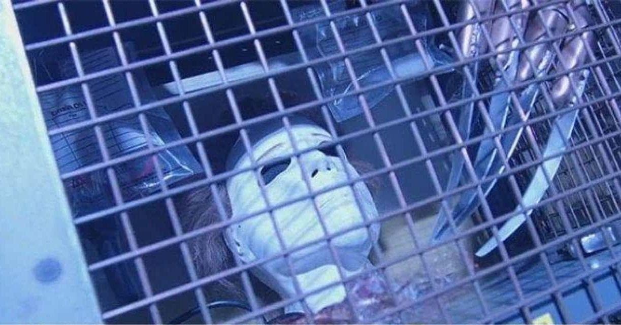 Surprising Times Horror Movies Shared A Universe With Other Films