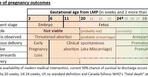 Miscarriage Symptoms | List Of Signs Of Miscarriage