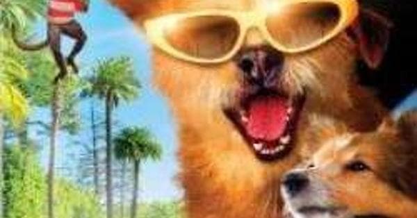 Dr Dolittle Million Dollar Mutts Cast List: Actors and ...