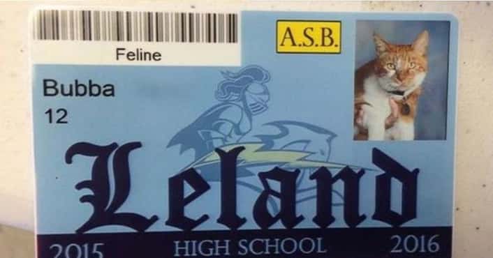 Hilarious High School ID Pics