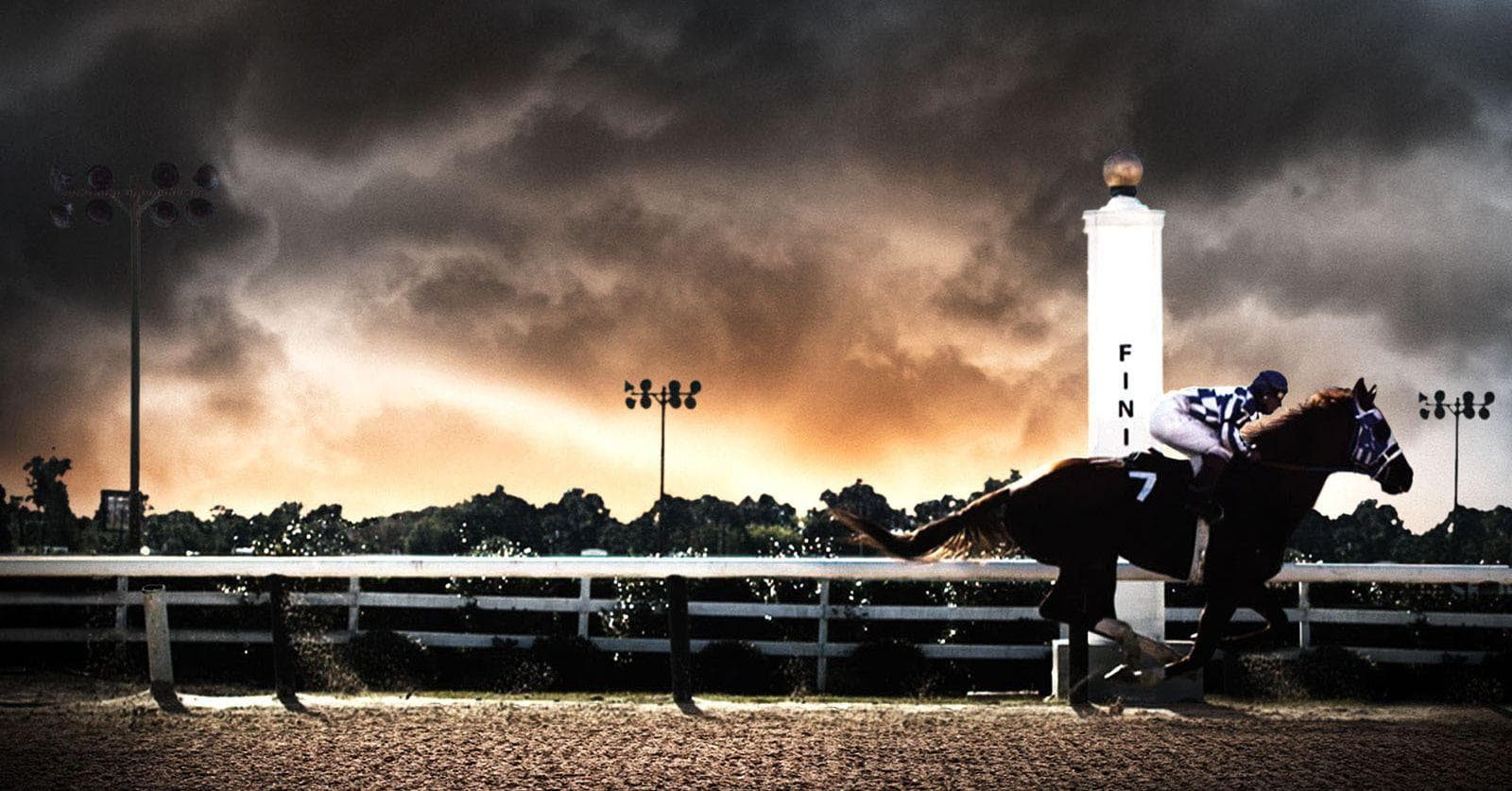 Movies Set In Kentucky The 55+ Best, Ranked By Votes