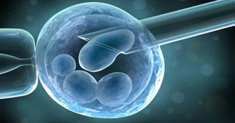 Stem Cell Research Companies | List of Top Stem Cell Research Firms