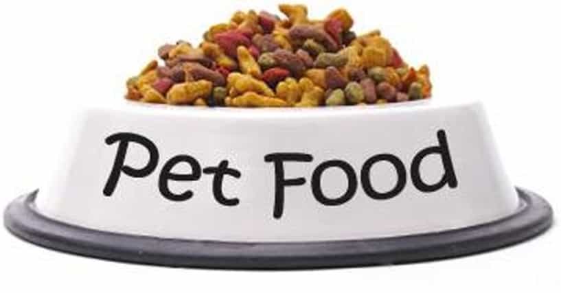 Пет фуд. Pet food. Food for Pets. Campeo Pet food лого. Pets food Company.