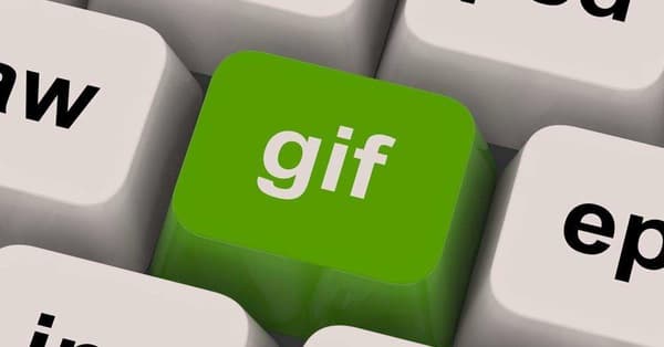 Overused GIFs | Best Reaction GIFs Online