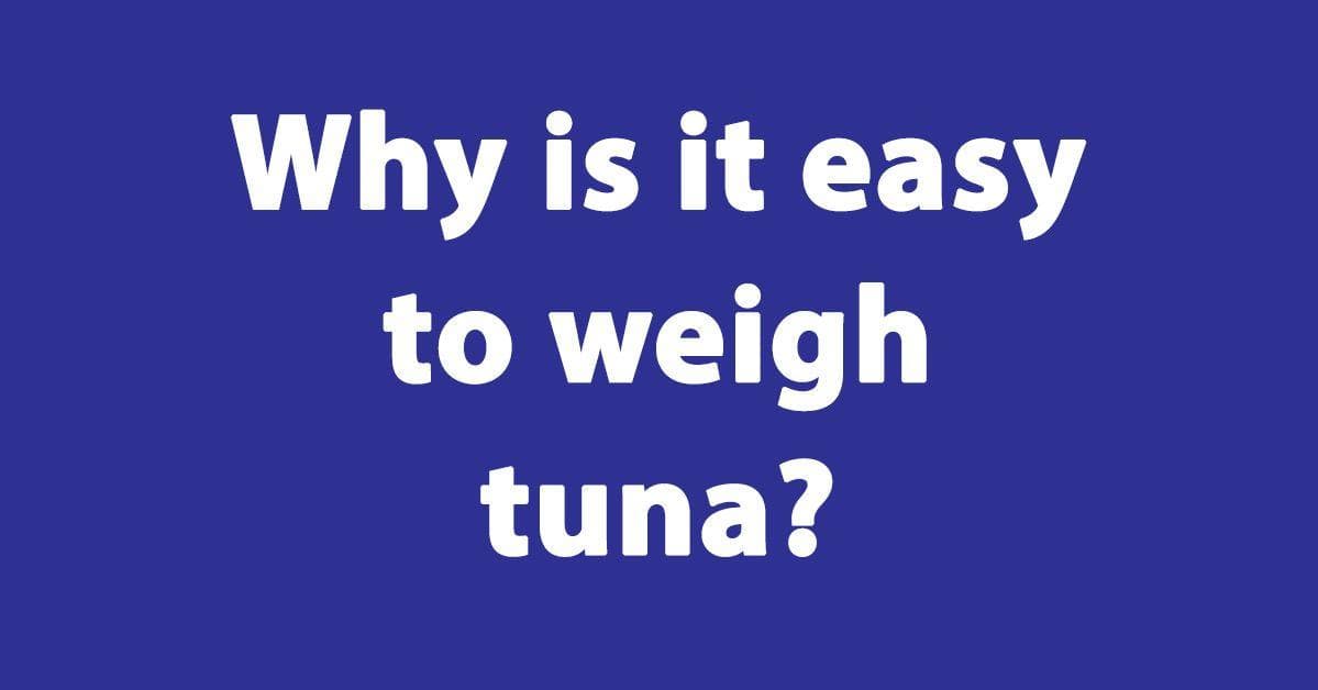 The 25 Best Tuna Jokes, Ranked