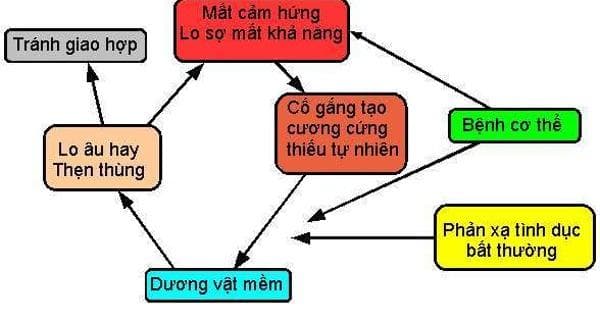 Atherosclerosis Diseases List Of Dangers Of Atherosclerosis