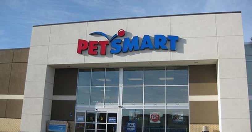 The Top Pet Stores For Dogs, Cats, Birds & More