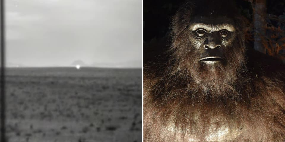 The 9 Creepiest Cryptids In Texas, Ranked By Creepiness