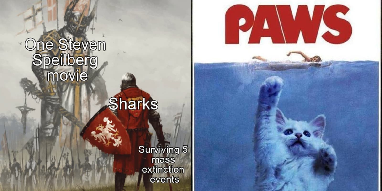 The 22 Funniest 'Jaws' Memes, Ranked