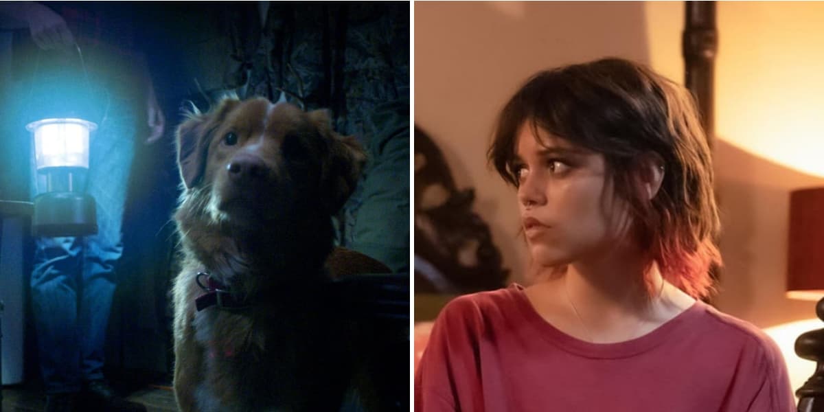 The Weirdest Movies Of 2025