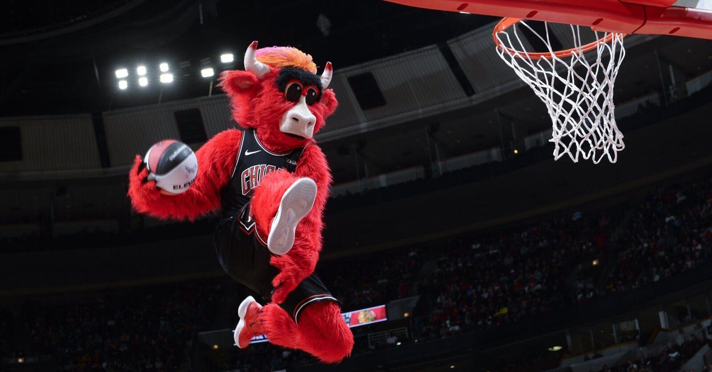 Grizz (Memphis Grizzlies), the #1 mascot in the NBA