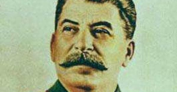 book Clones, Cats, And Chemicals: Thinking Scientifically About Controversial Issues 2004