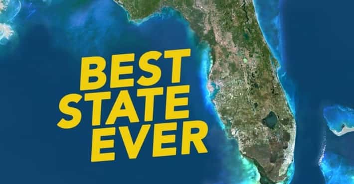 WTF Stories from Florida: 2016 Edition