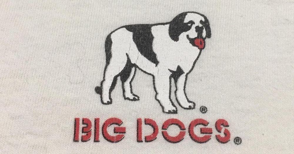 Big dog brand sweatshirts on sale