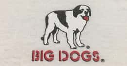 The Rise And Fall Of Big Dogs Clothing