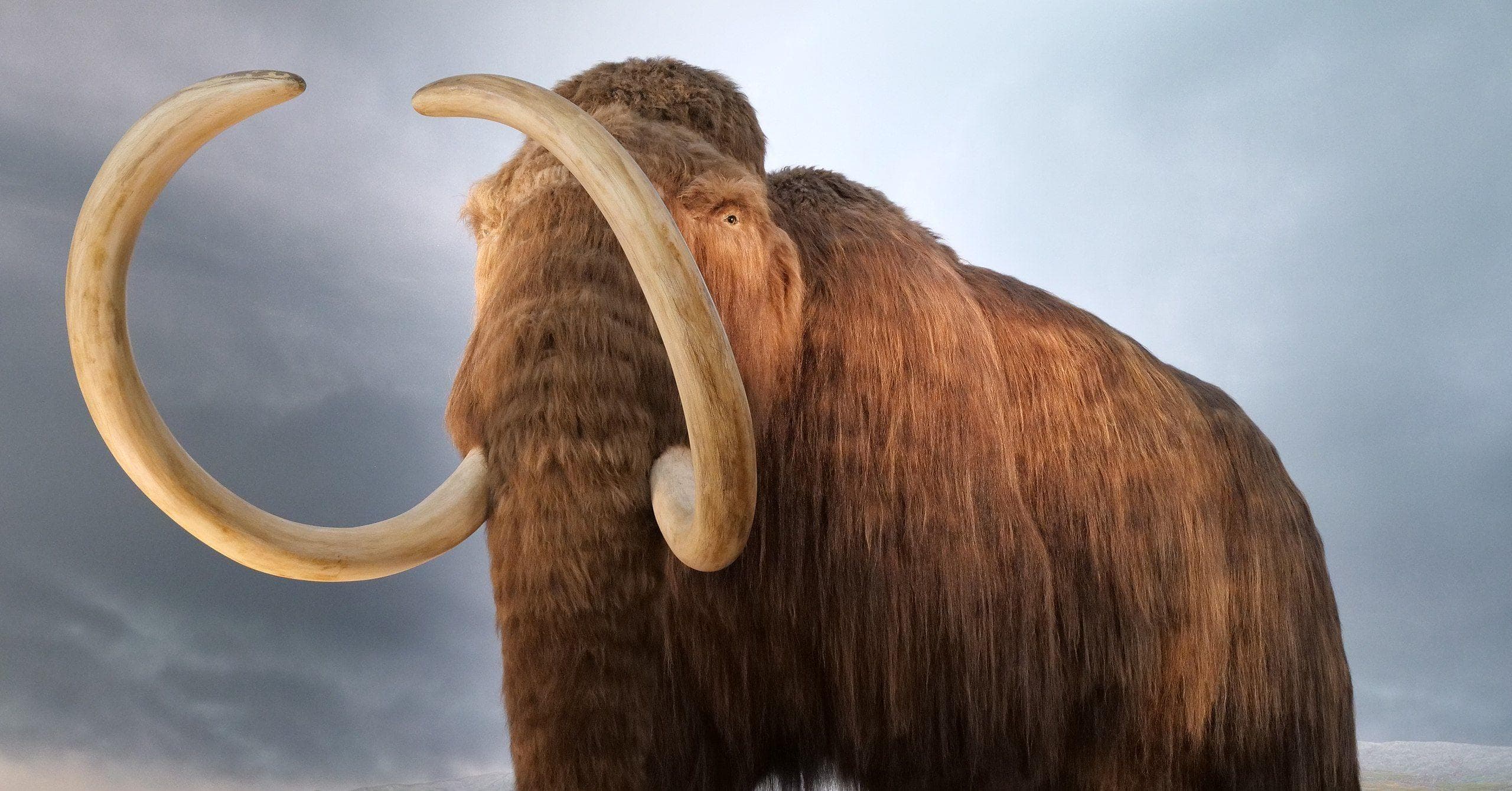 15+ Timeline Tidbits We Realized That Completely Change How We See Time