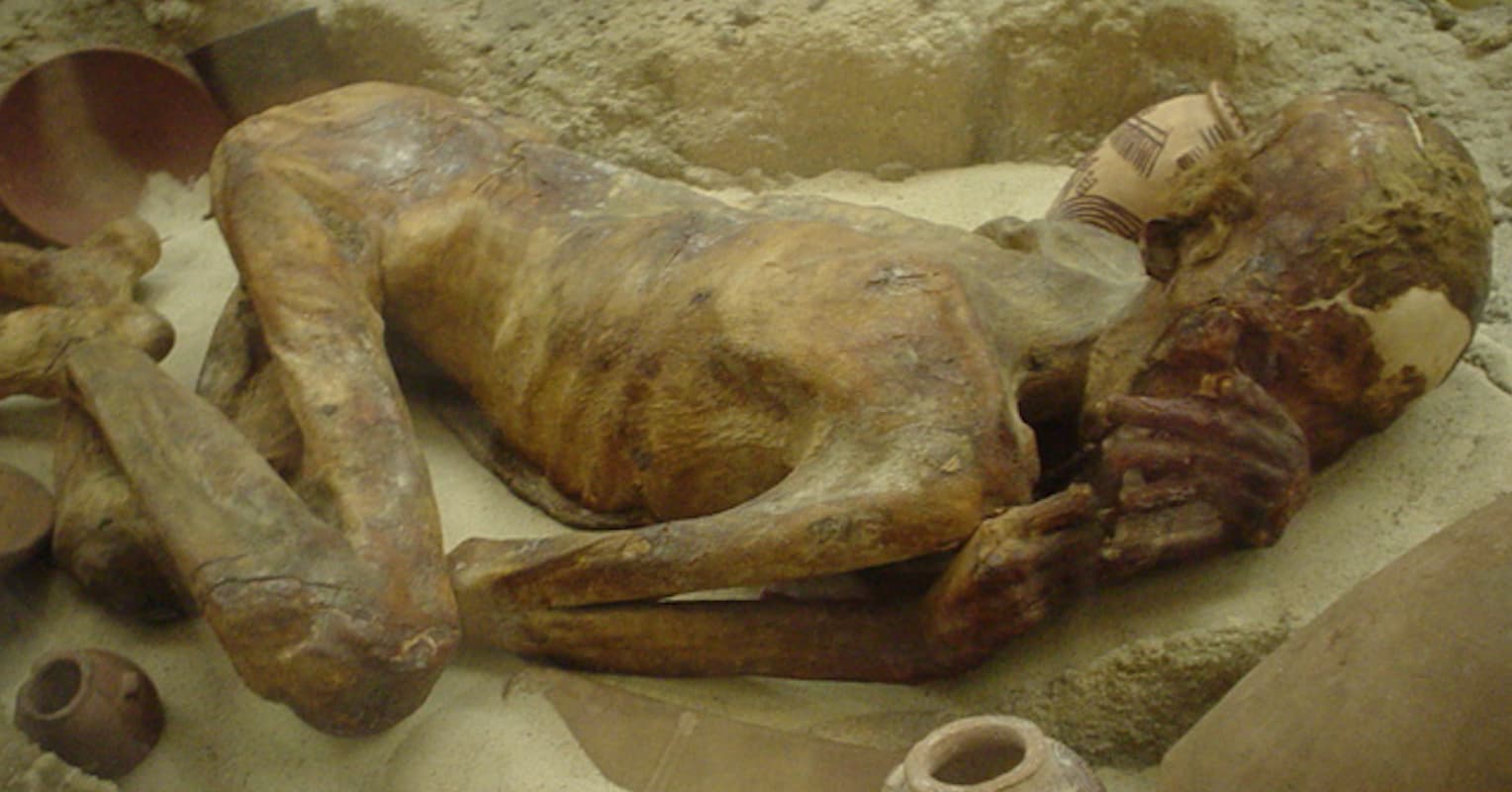 20 Pictures Of Natural Mummies That Made Us Say 'Whoa'