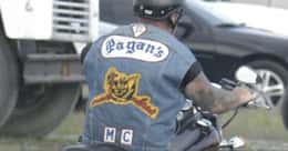 14 Facts About The Pagans Motorcycle Gang