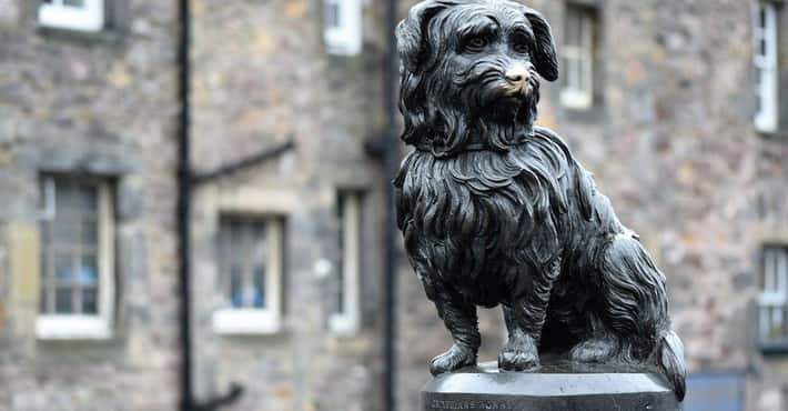 Real Animals Honored with Statues