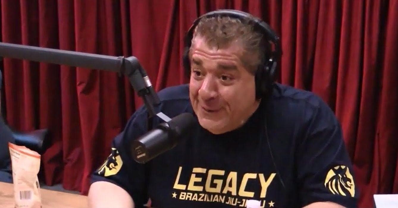 camouflage husmor tiggeri The Best Comedian Guests On The Joe Rogan Experience Podcast