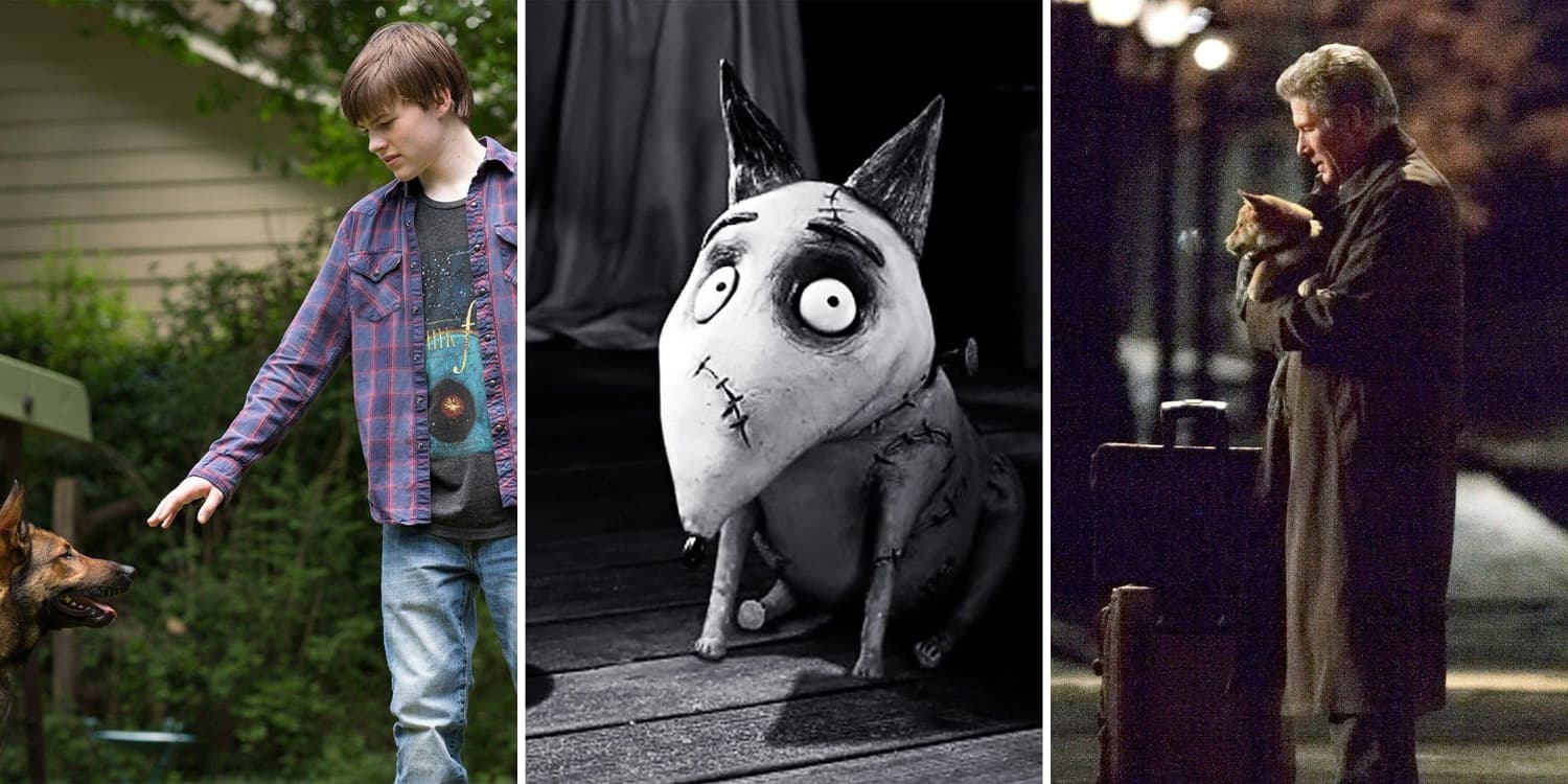 The 25 Saddest Dog Movies Of All Time, Ranked