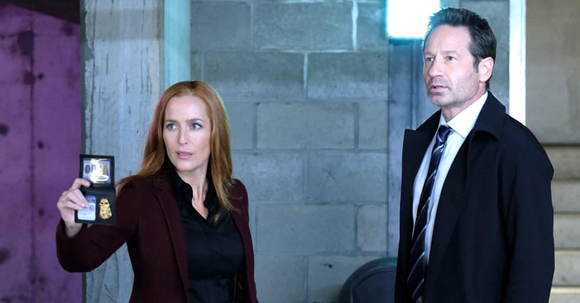 Ranking The Best Male And Female Crime Fighting Duos On Tv 