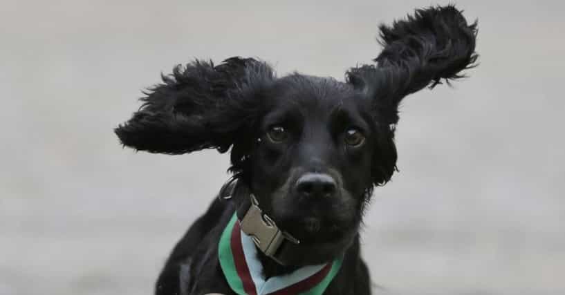 download was heißt individualisierung die antworten download