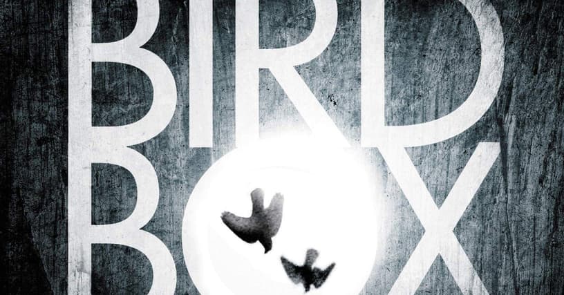 bird box book cover