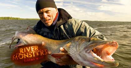 What To Watch If You Love 'River Monsters'