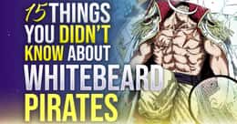 15 Things You Didn't Know About The Whitebeard Pirates In 'One Piece'