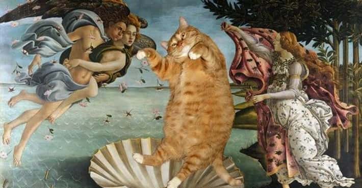 Fat Cats in 16th Century Art