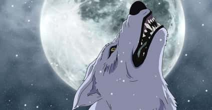 The 15+ Best Werewolf Anime Of All Time