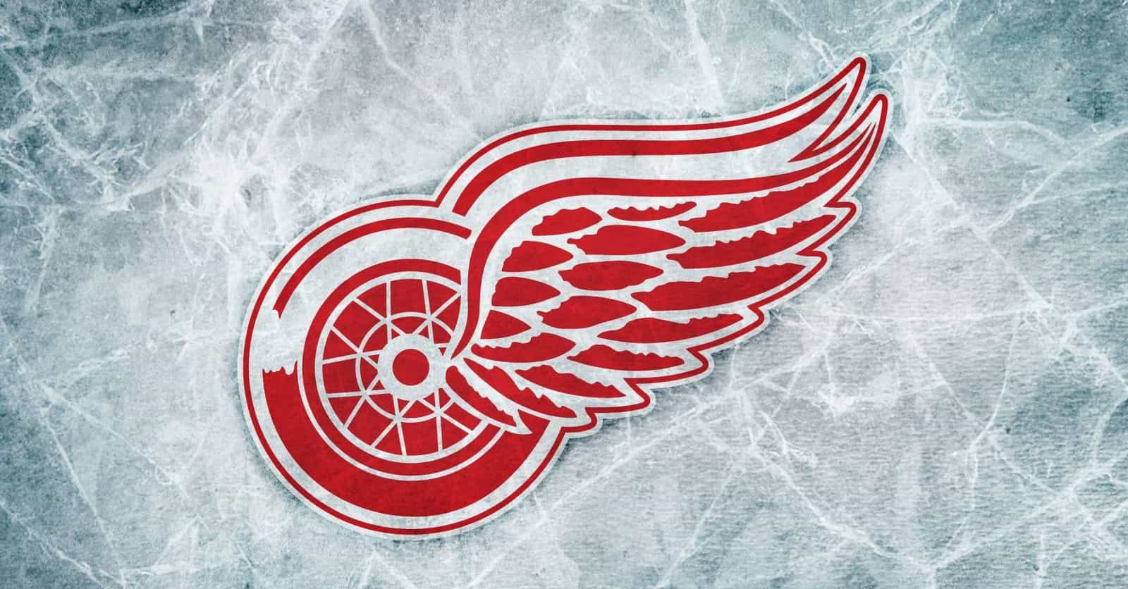 Red Wings at Ducks October 8th